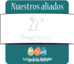 Chiquibunnies